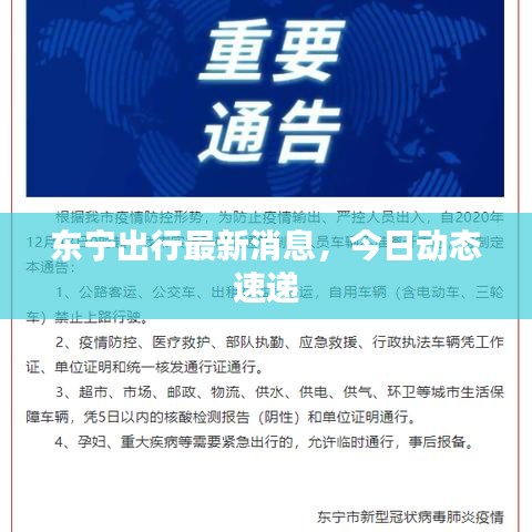 東寧出行最新消息,今日動態速遞