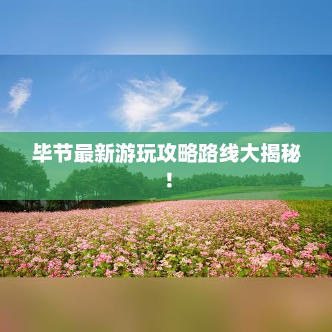 畢節(jié)最新游玩攻略路線大揭秘!