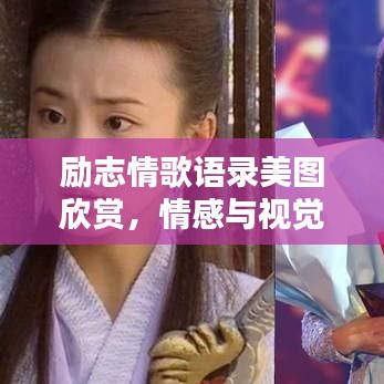 勵志情歌語錄美圖欣賞,情感與視覺的雙重享受