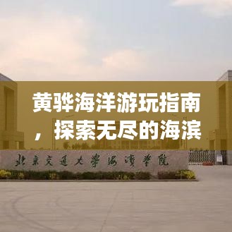黃驊海洋游玩指南,探索無盡的海濱魅力!
