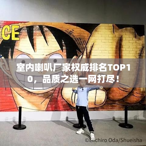 室內喇叭廠家權威排名TOP10,品質之選一網打盡!