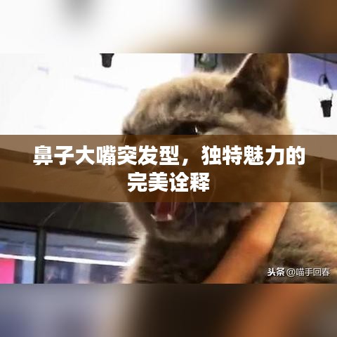 鼻子大嘴突發型,獨特魅力的完美詮釋
