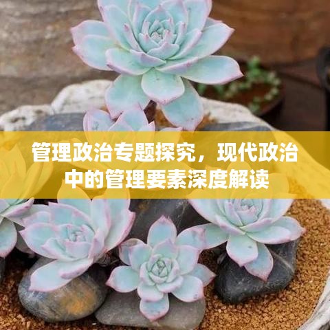 管理政治專題探究,現代政治中的管理要素深度解讀