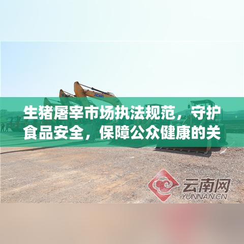生豬屠宰市場執法規范，守護食品安全，保障公眾健康的關鍵環節