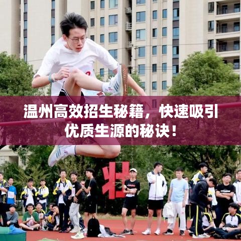 溫州高效招生秘籍,快速吸引優質生源的秘訣!