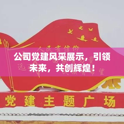 公司黨建風采展示,引領未來,共創輝煌!