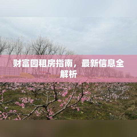 財富園租房指南,最新信息全解析