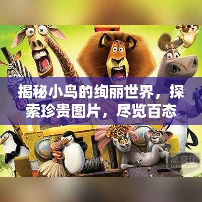 揭秘小鳥的絢麗世界,探索珍貴圖片,盡覽百態(tài)神韻!