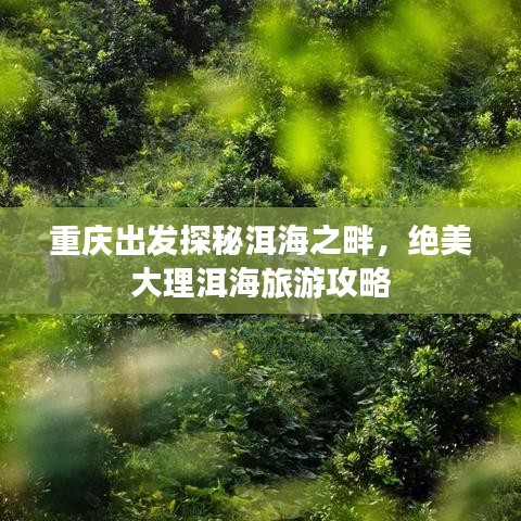 重慶出發探秘洱海之畔,絕美大理洱海旅游攻略