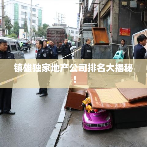 鎮雄獨家地產公司排名大揭秘!