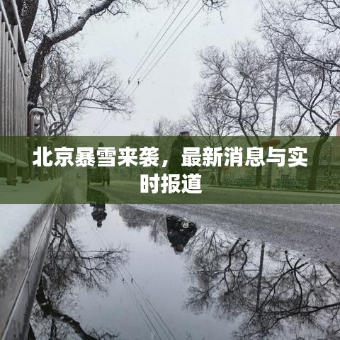 北京暴雪來襲,最新消息與實時報道