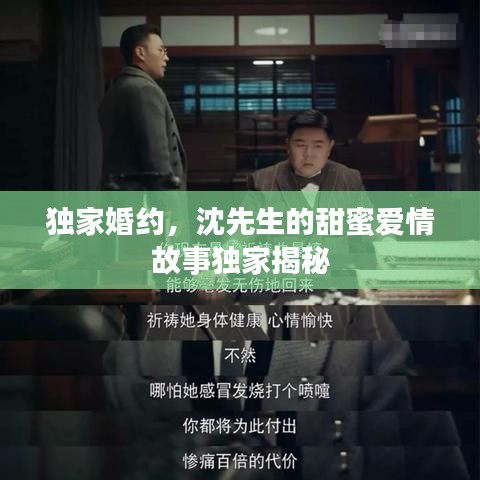 獨(dú)家婚約,沈先生的甜蜜愛情故事獨(dú)家揭秘