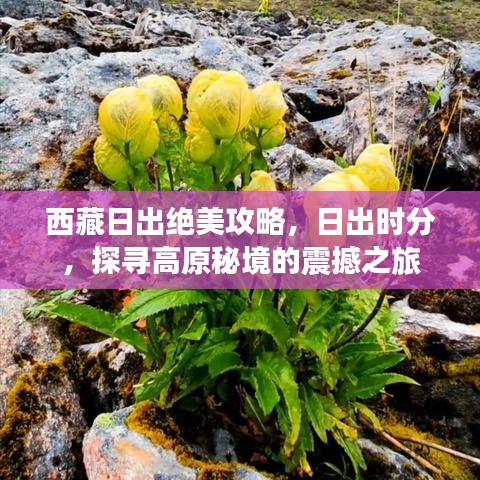 西藏日出絕美攻略,日出時(shí)分,探尋高原秘境的震撼之旅