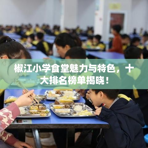 椒江小學食堂魅力與特色，十大排名榜單揭曉！