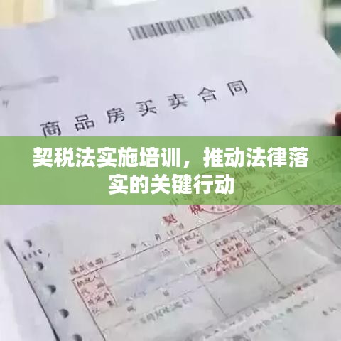契稅法實施培訓,推動法律落實的關鍵行動