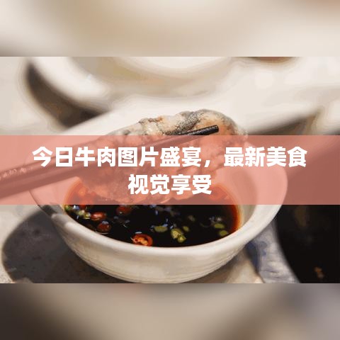今日牛肉圖片盛宴,最新美食視覺享受
