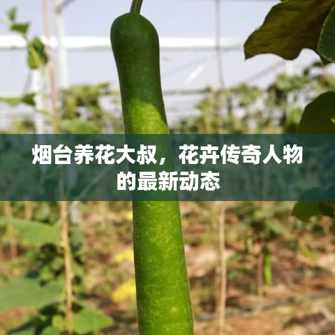 煙臺養花大叔，花卉傳奇人物的最新動態