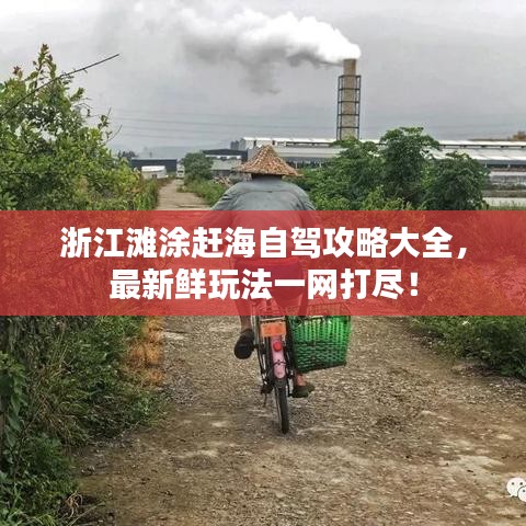 浙江灘涂趕海自駕攻略大全，最新鮮玩法一網打盡！