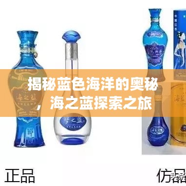 揭秘藍色海洋的奧秘,海之藍探索之旅