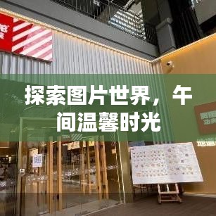 探索圖片世界,午間溫馨時光