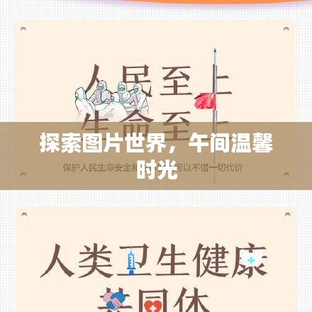 探索圖片世界,午間溫馨時光