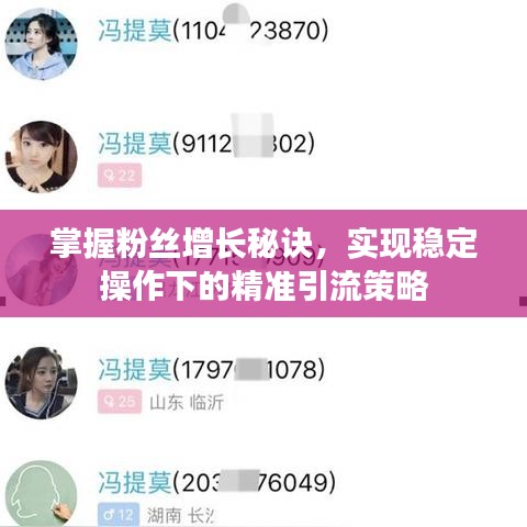 掌握粉絲增長秘訣,實現穩定操作下的精準引流策略