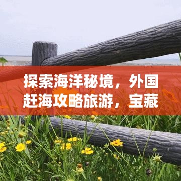 探索海洋秘境，外國趕海攻略旅游，寶藏之旅開啟！