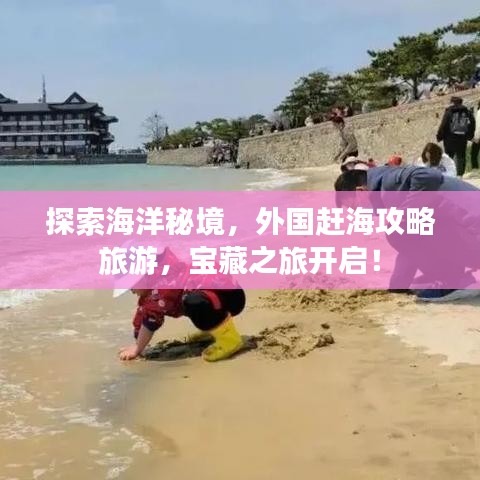 探索海洋秘境,外國趕海攻略旅游,寶藏之旅開啟!