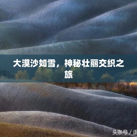 大漠沙如雪,神秘壯麗交織之旅