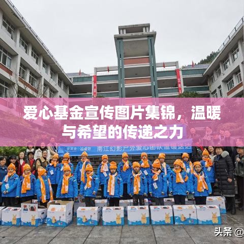 愛心基金宣傳圖片集錦,溫暖與希望的傳遞之力