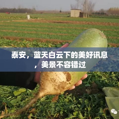 泰安,藍天白云下的美好訊息,美景不容錯過