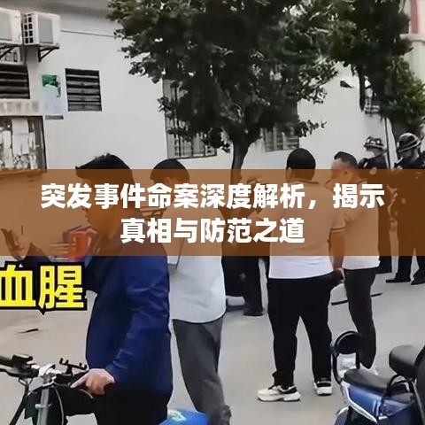 突發事件命案深度解析,揭示真相與防范之道