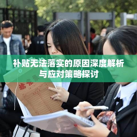 補貼無法落實的原因深度解析與應對策略探討