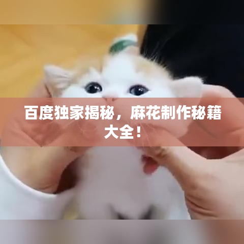 百度獨家揭秘,麻花制作秘籍大全!