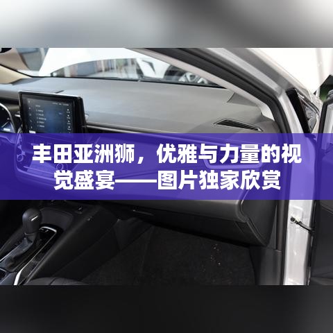 豐田亞洲獅,優雅與力量的視覺盛宴——圖片獨家欣賞