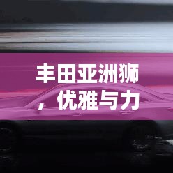 豐田亞洲獅,優雅與力量的視覺盛宴——圖片獨家欣賞