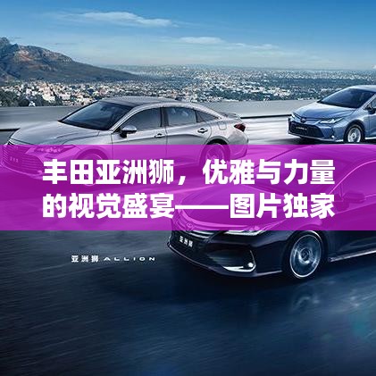 豐田亞洲獅,優雅與力量的視覺盛宴——圖片獨家欣賞