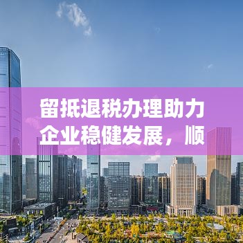 留抵退稅辦理助力企業穩健發展,順暢高效獲贊!