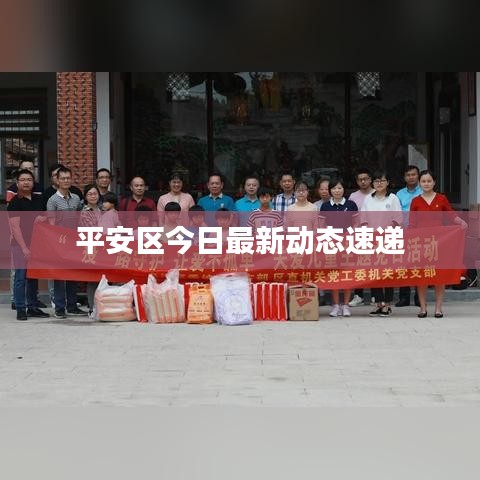 平安區今日最新動態速遞