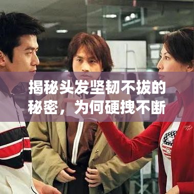 揭秘頭發(fā)堅(jiān)韌不拔的秘密,為何硬拽不斷?