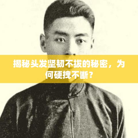 揭秘頭發(fā)堅(jiān)韌不拔的秘密,為何硬拽不斷?