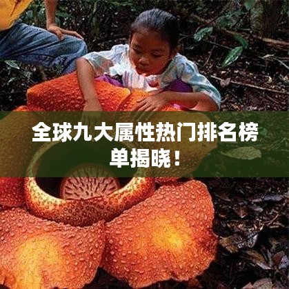 全球九大屬性熱門(mén)排名榜單揭曉！