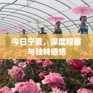 今日寧夏，深度觀察與獨特感悟