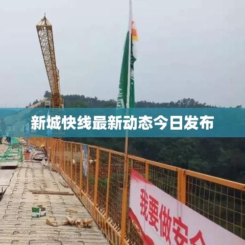 新城快線最新動態今日發布