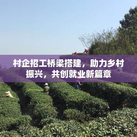 村企招工橋梁搭建,助力鄉村振興,共創就業新篇章