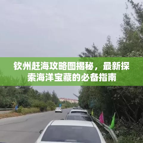 欽州趕海攻略圖揭秘，最新探索海洋寶藏的必備指南
