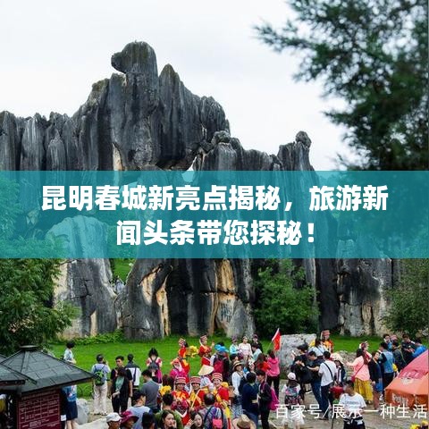 昆明春城新亮點揭秘,旅游新聞頭條帶您探秘!