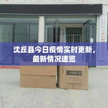 沈丘縣今日疫情實時更新,最新情況速覽