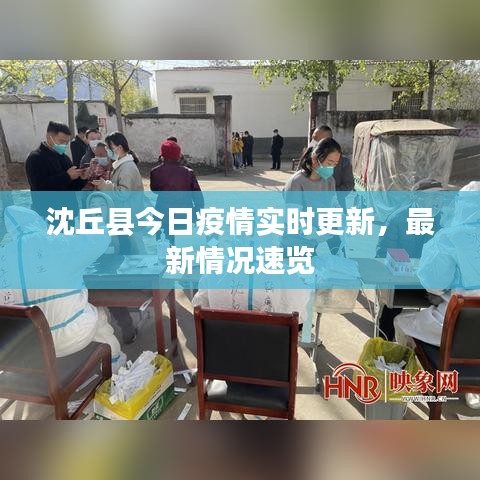 沈丘縣今日疫情實時更新,最新情況速覽