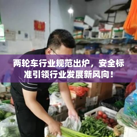 兩輪車行業規范出爐，安全標準引領行業發展新風向！